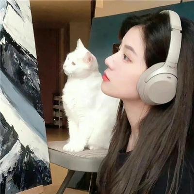 儿女英雄
