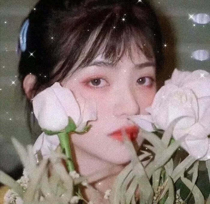 妖夜寻狼：血姬觉醒